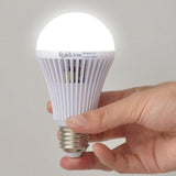 Emergency Light Bulb (2 pcs)